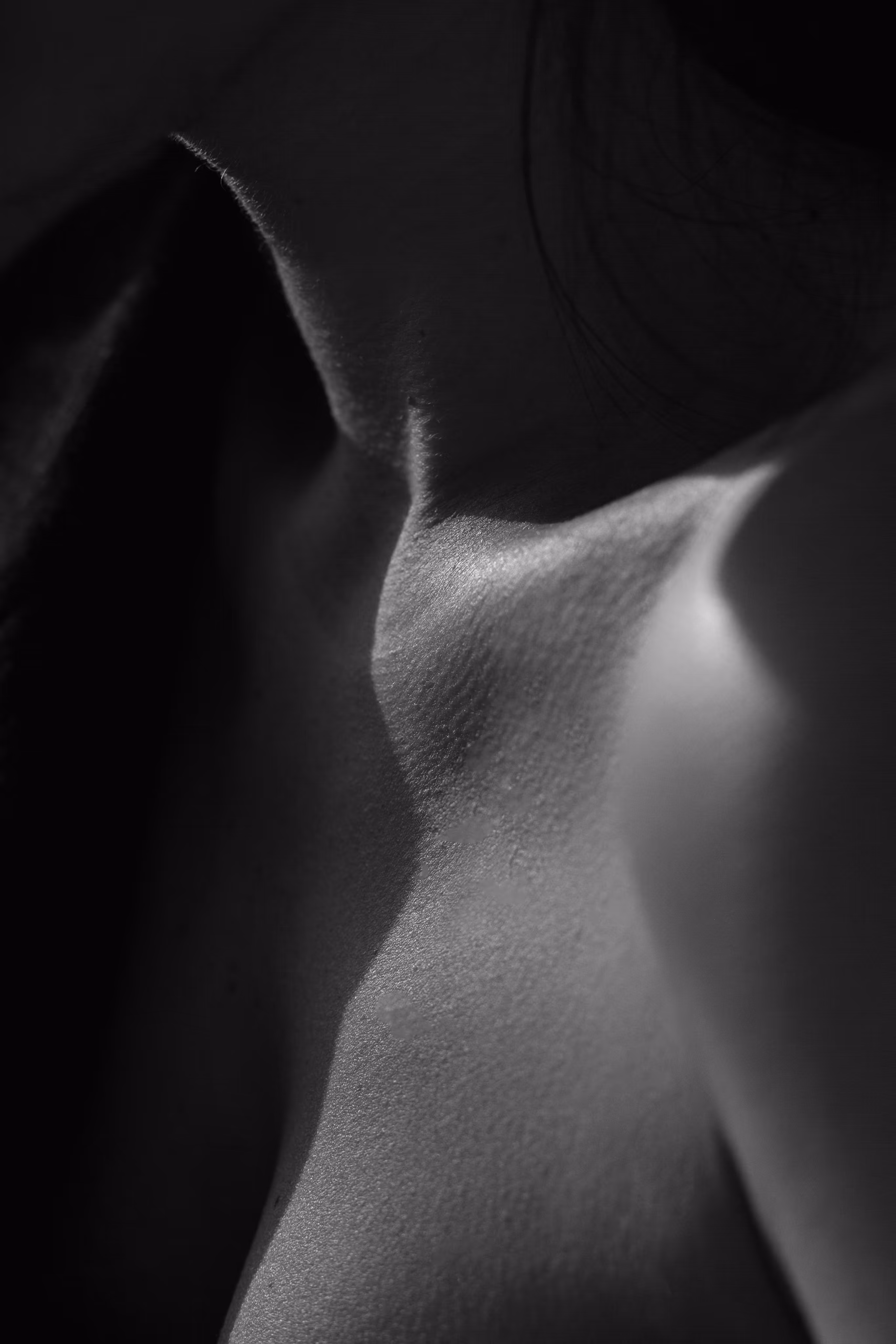 Soft black and white close-up of skin